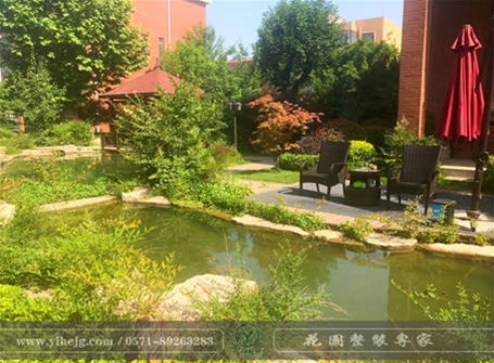 庭院景觀